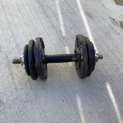 Weight 25 Lb