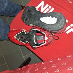 Lebron james seventeen Flyknit  9.5/10 ?🔥🔥