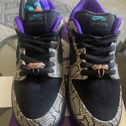 Dashawn Jordan x Nike SB ‘Copperhead’ Size 8