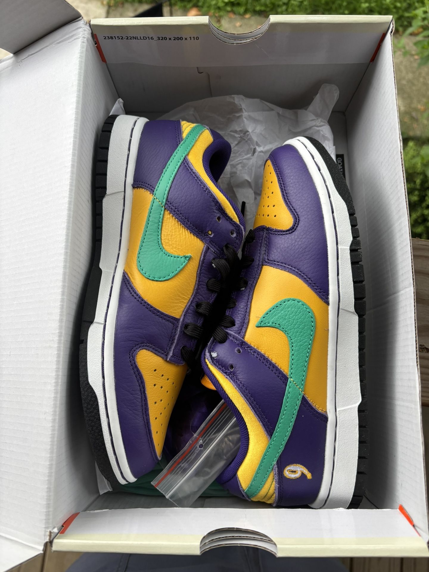 Nike Dunk Low x Lisa Leslie