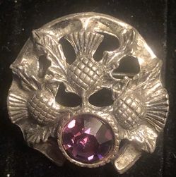 Vintage Rare Silver Tone Horseshoe W/ Scottish Thistle And Purple Stone Brooch