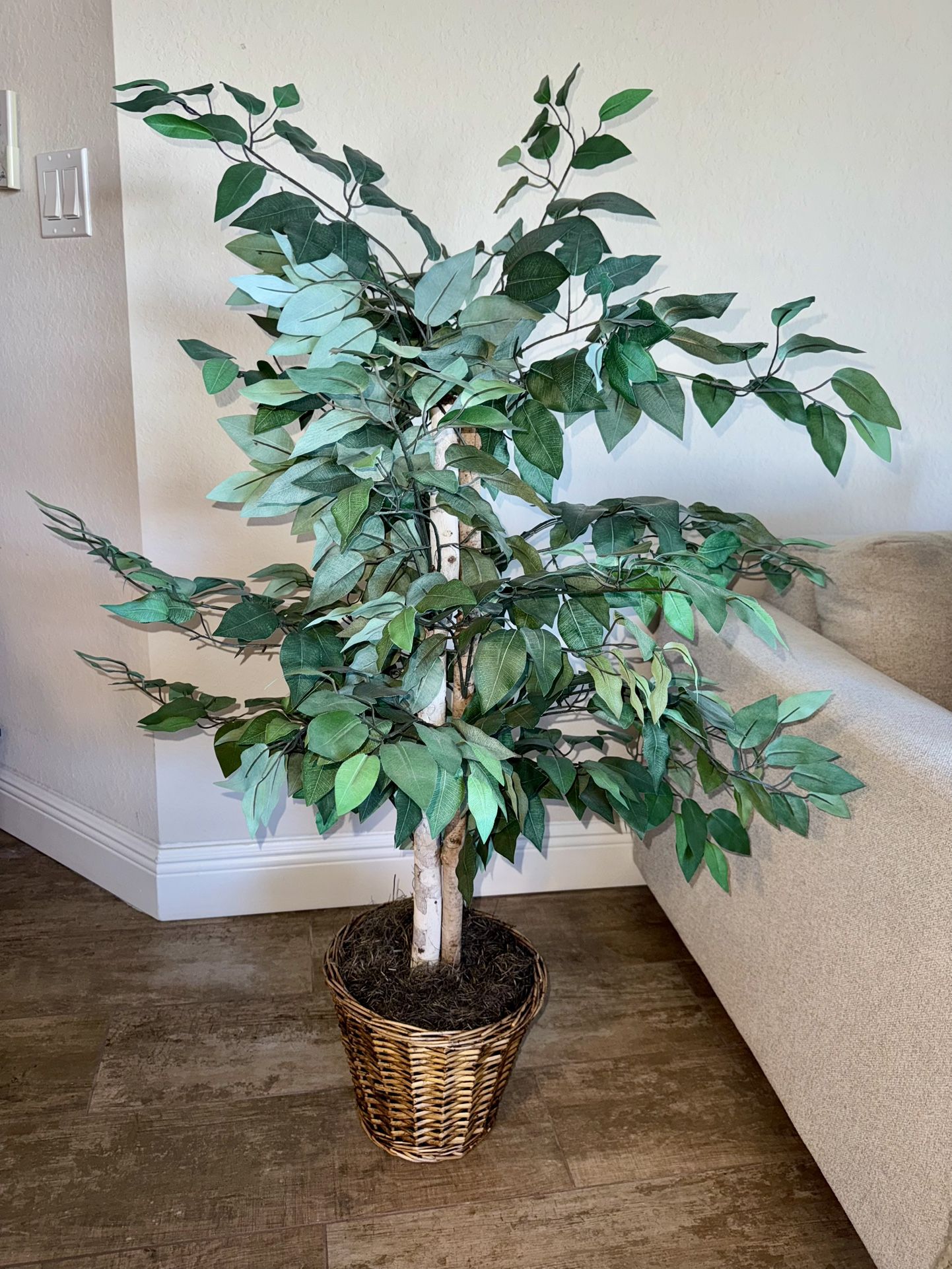 4ft Indoor Plant