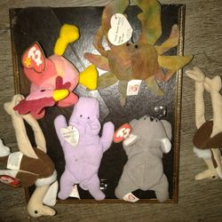TY Beenie Babies, RARE ,RETIRED. Errors