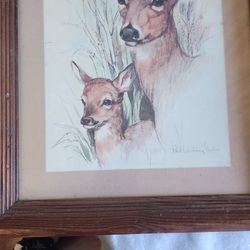 Paul Whitney Deer And Fawn