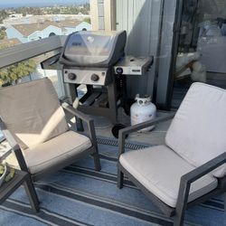 2 Outdoor Chairs- Sunbrella Cushions