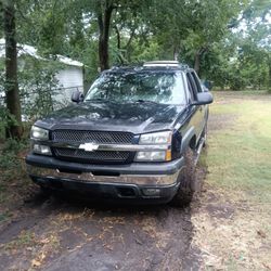2005 Avalanche 