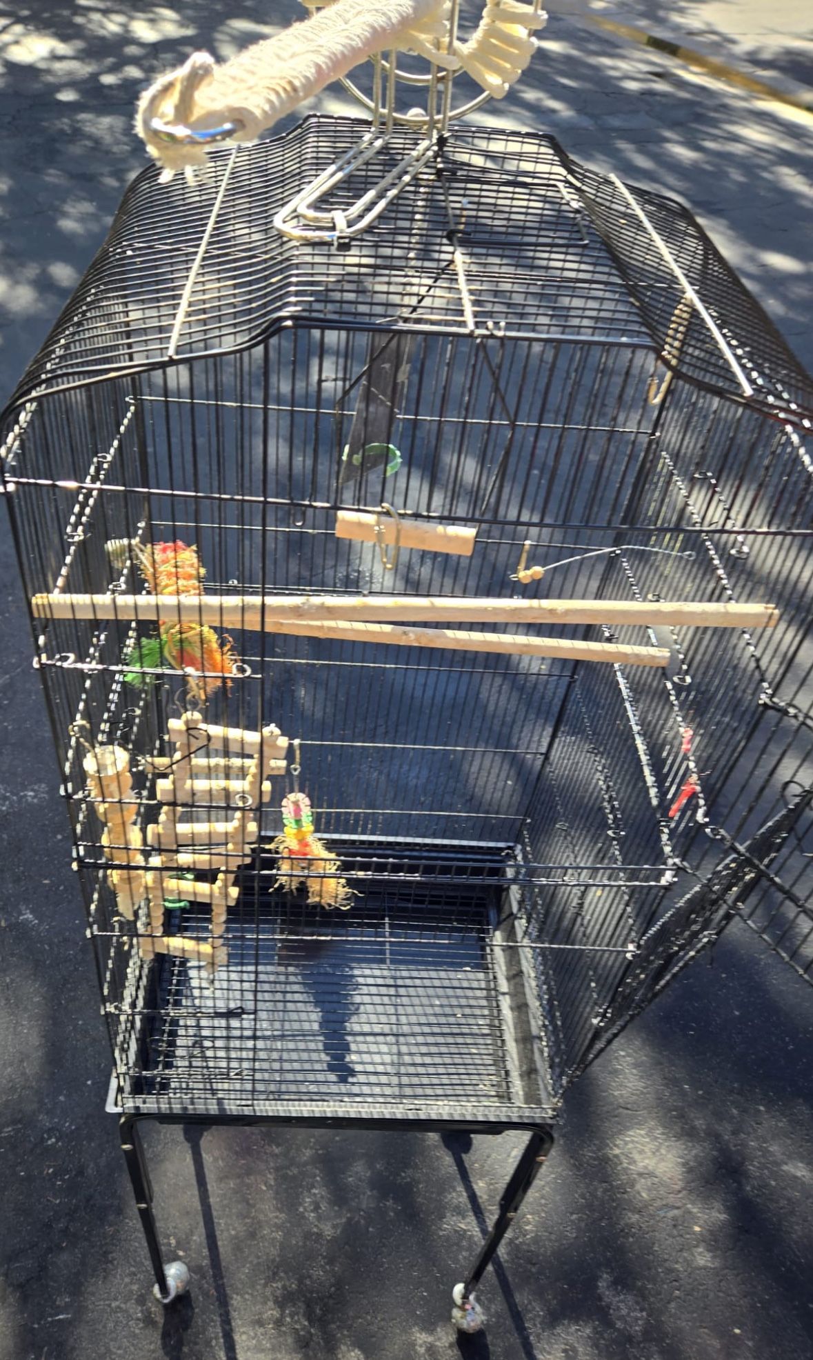 BIRD CAGE AND TOYS GIVEN TO BEST OFFER