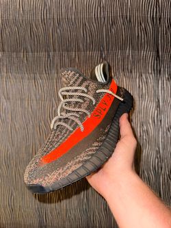 Yeezy carbon beluga size 11 no box