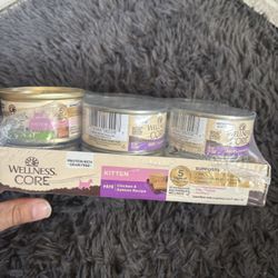 Wellness Core Kitten Food 