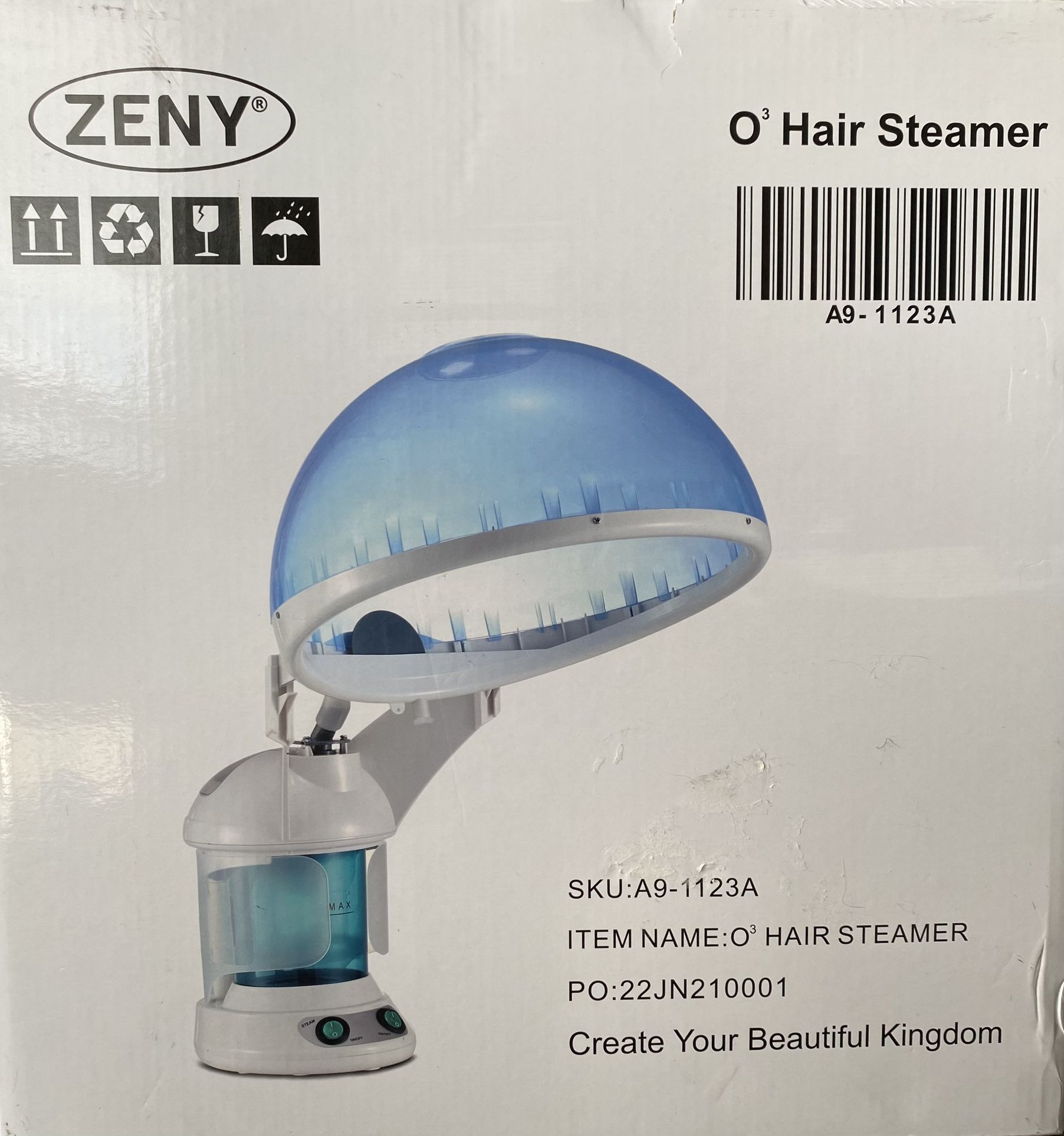 Hair Steamer