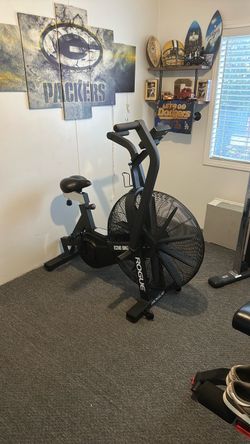 Rogue Echo Bike