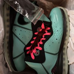 Nike LeBron 8 (South Beach)