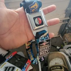 Pokemon Belt
