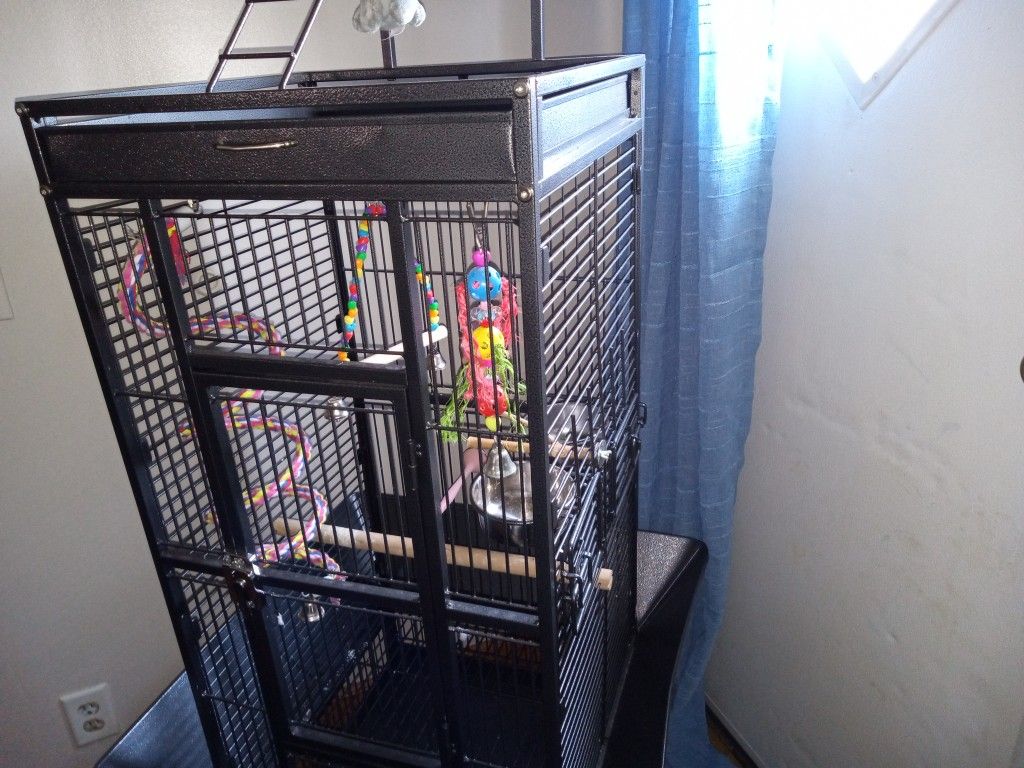Large Bird Cage
