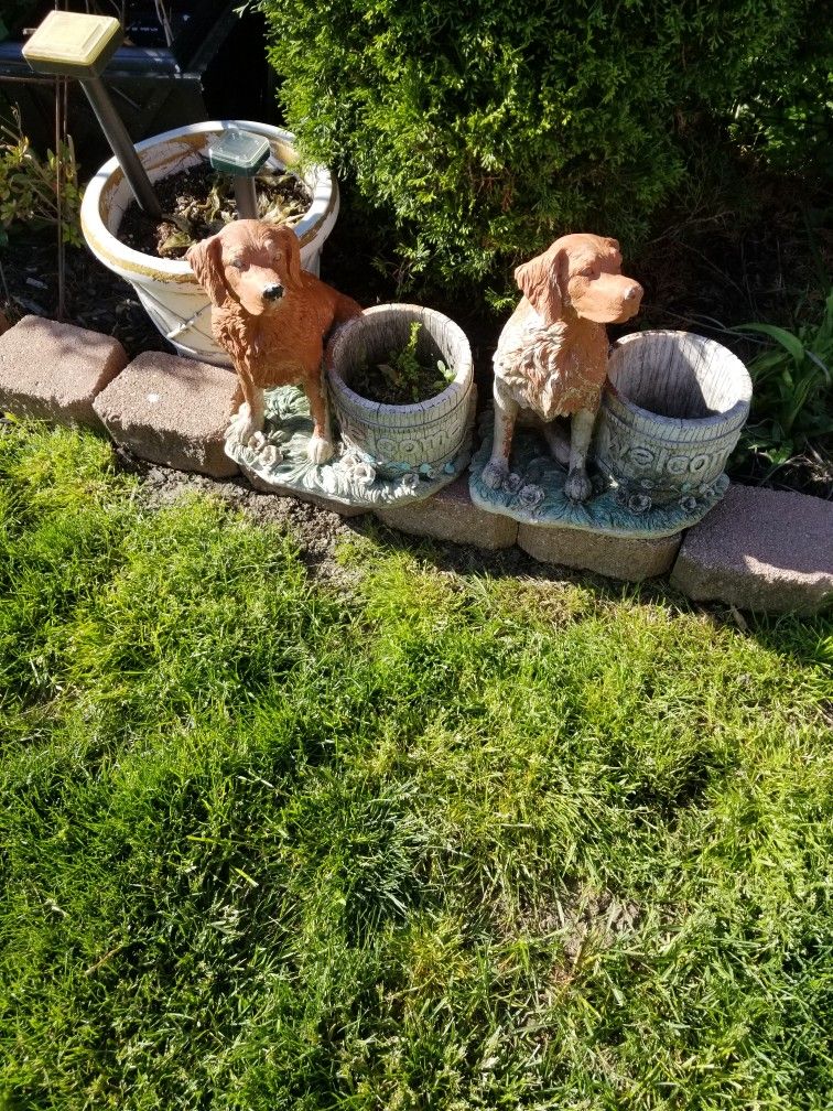 Dog Plant Pots