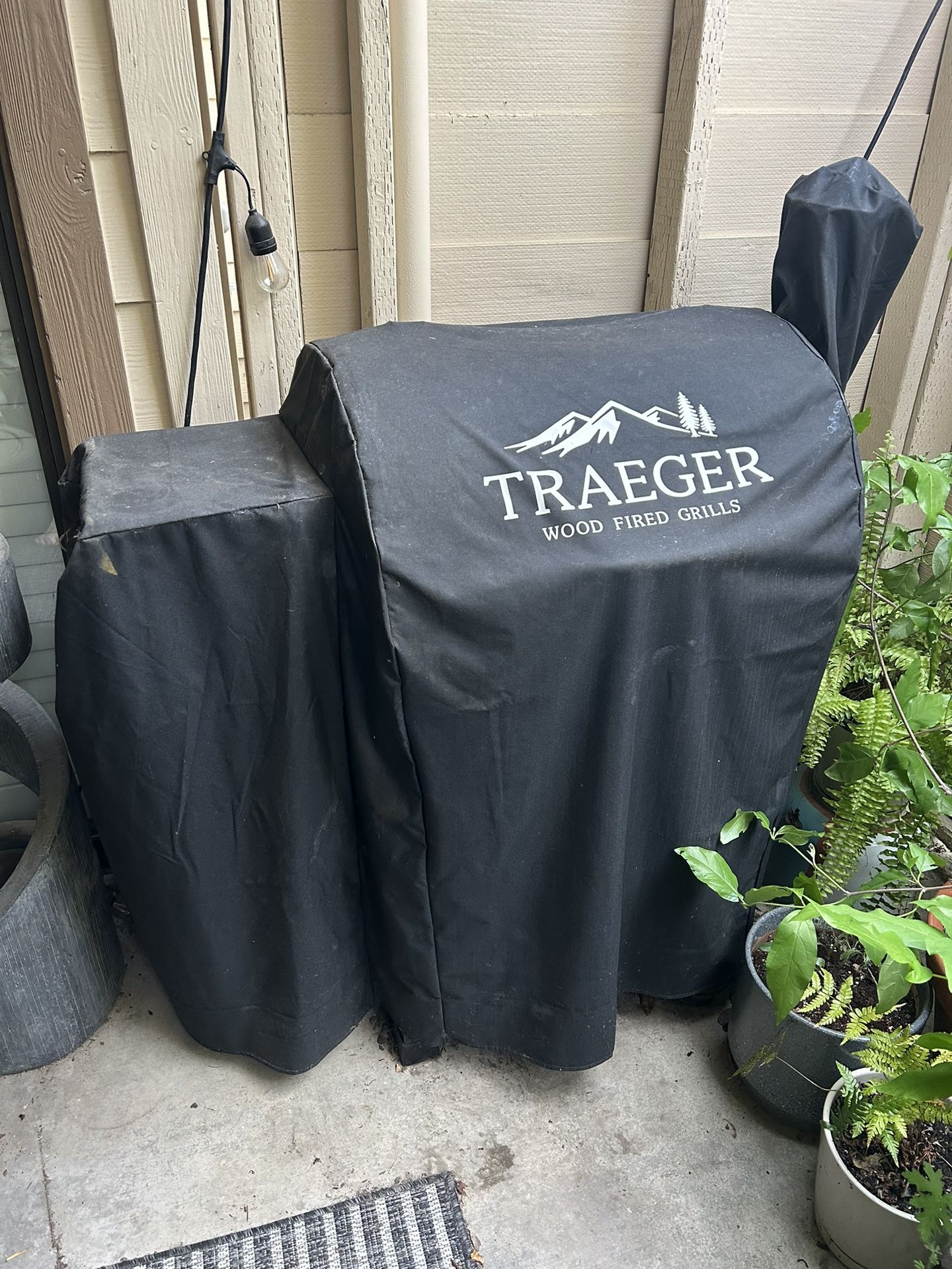 Traeger Smoker