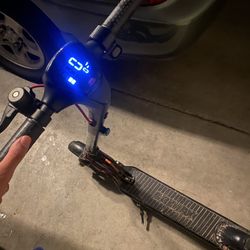 Electric Scooter 