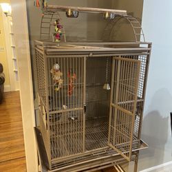Play top Bird Cage 