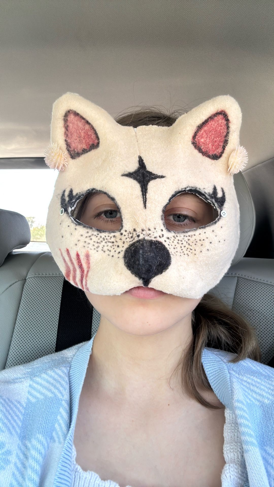 Therian/Costume Cat Mask