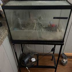 Fish Tank And Stand