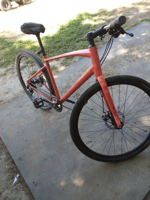 Specialized 0.1 29 In Disc Brakes