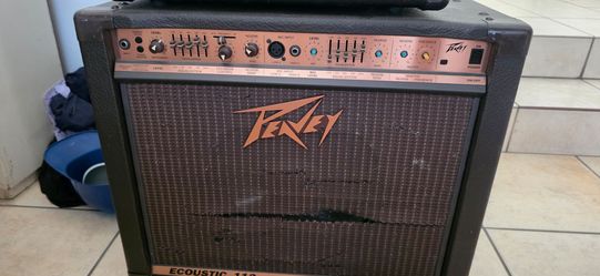 Peavey Ecoustic 112