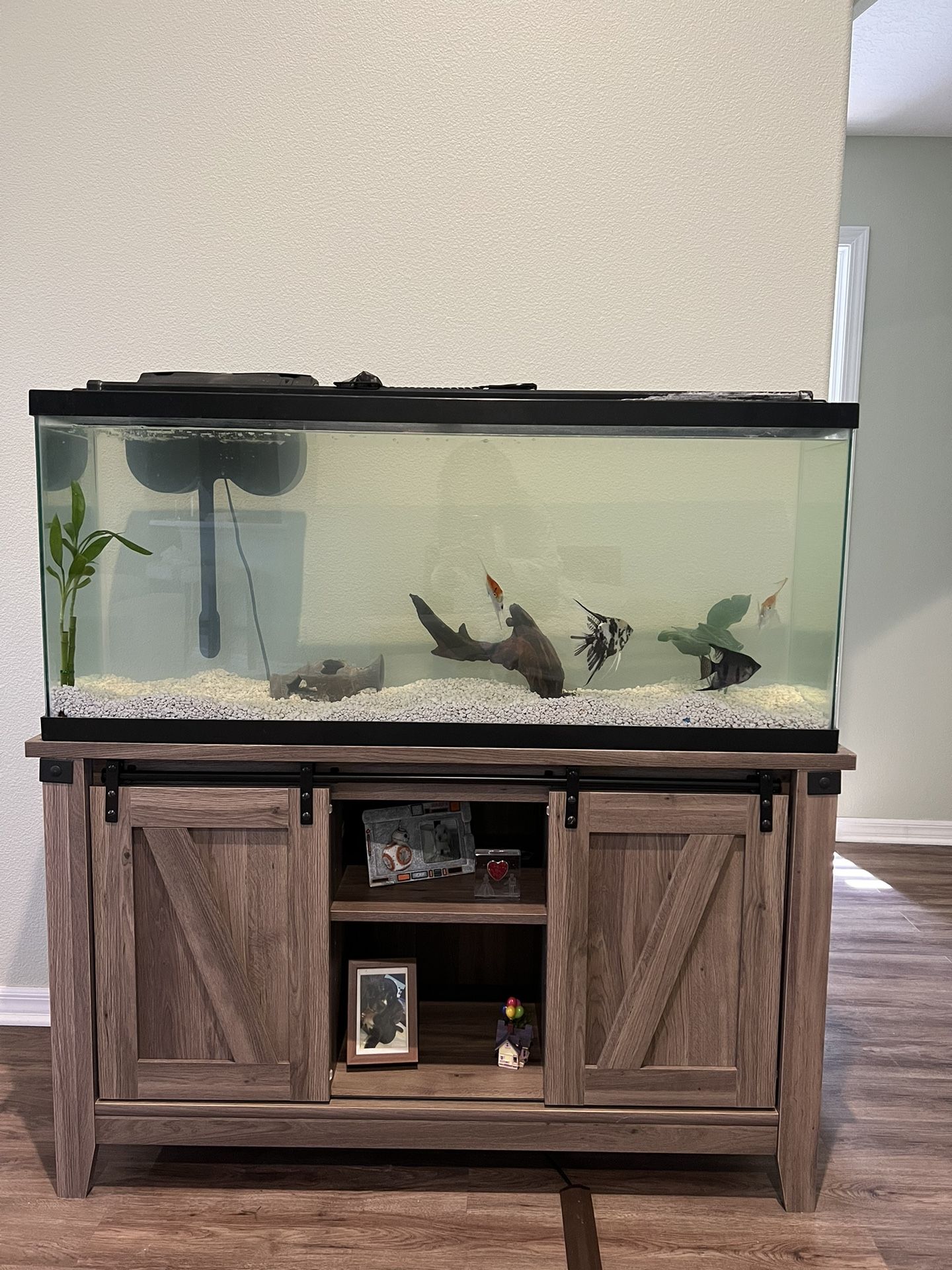55 Gallons Fish Tank Set