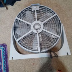 Fan