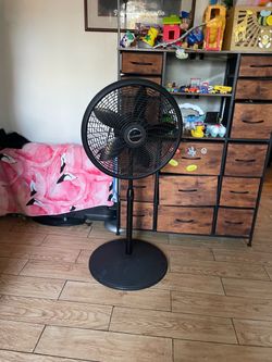 Fan