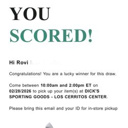 Air Jordan 12 Wolf Grey