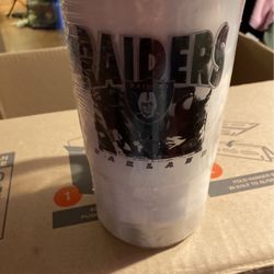 Vintage Mug Raiders