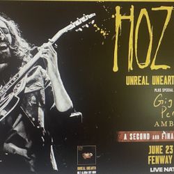 2 Hozier Tickets Fenway 6/23/25