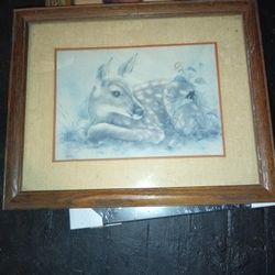 16 X 13 Deer Picture