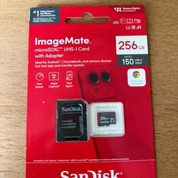 256GB Sandisk ImageMate Micro SD Card