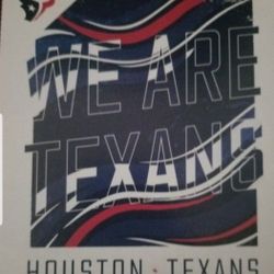 Texans Vs Eagles 1 CLUB SEAT And ReD LOT parking 