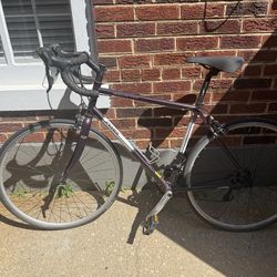 Woman’s Jamis Satellite Comp