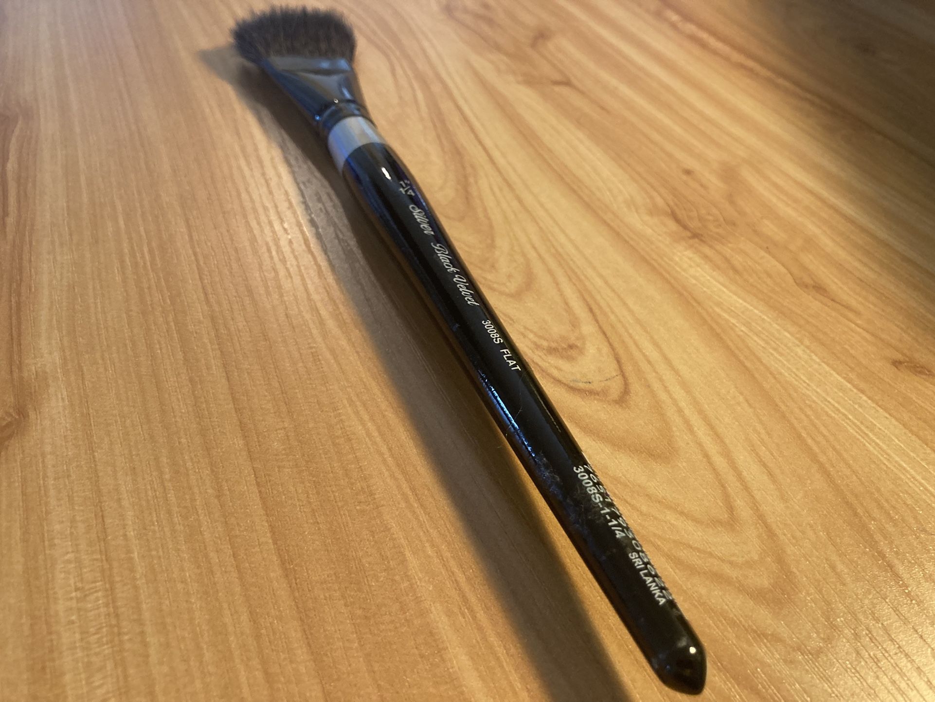 Barely Used Paint Brush