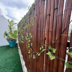 🎋 Bamboo Fence with Lights