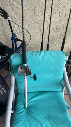 Rod and reel