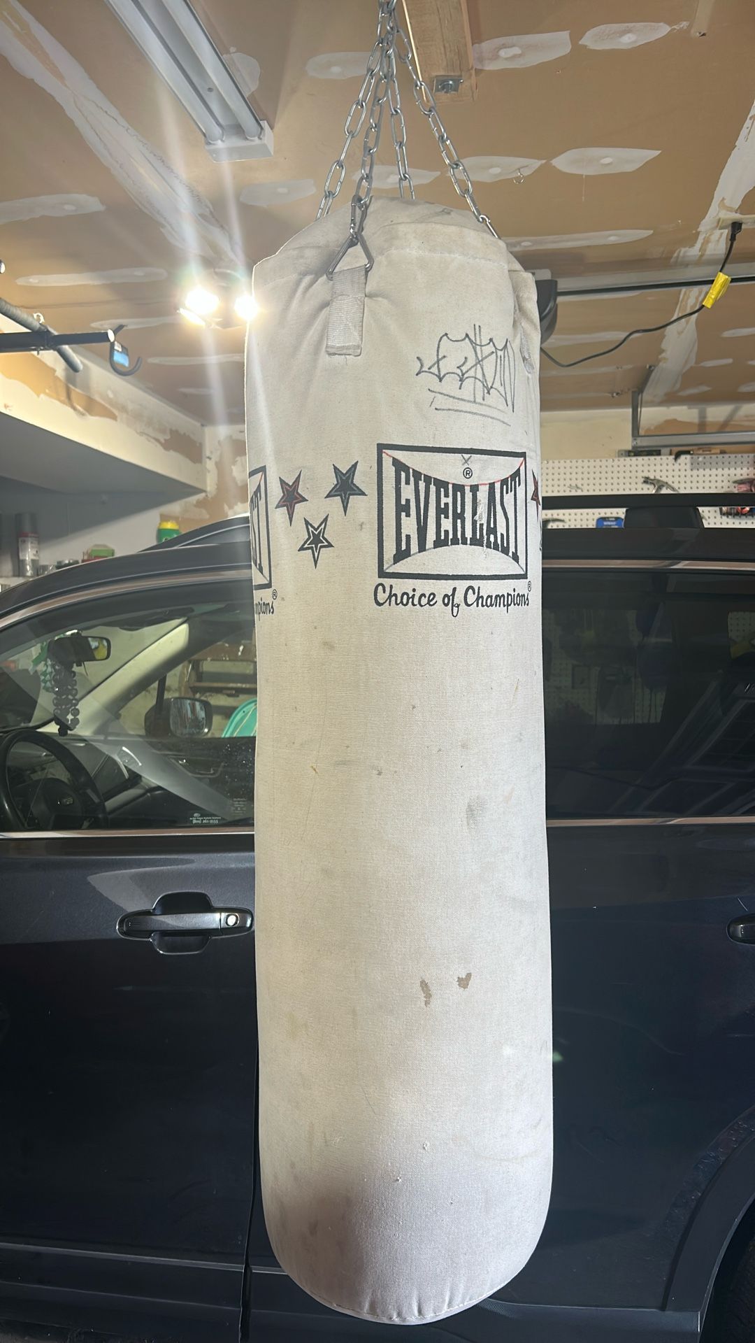 Everlast Punching Bag
