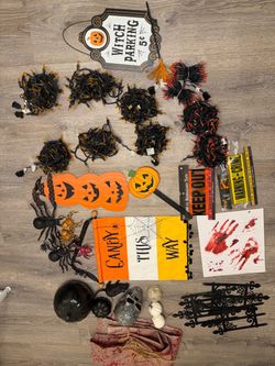Halloween lights and decor $30 for everything