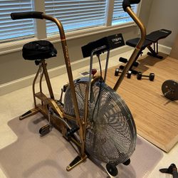 Schwinn Air Indoor Bike