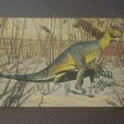 Model Of Antrodemus Dinosaur Charles R. Knight National Monument Utah Colorado Plastichrome Postcard Post Card Vintage Collectible RPPC PC