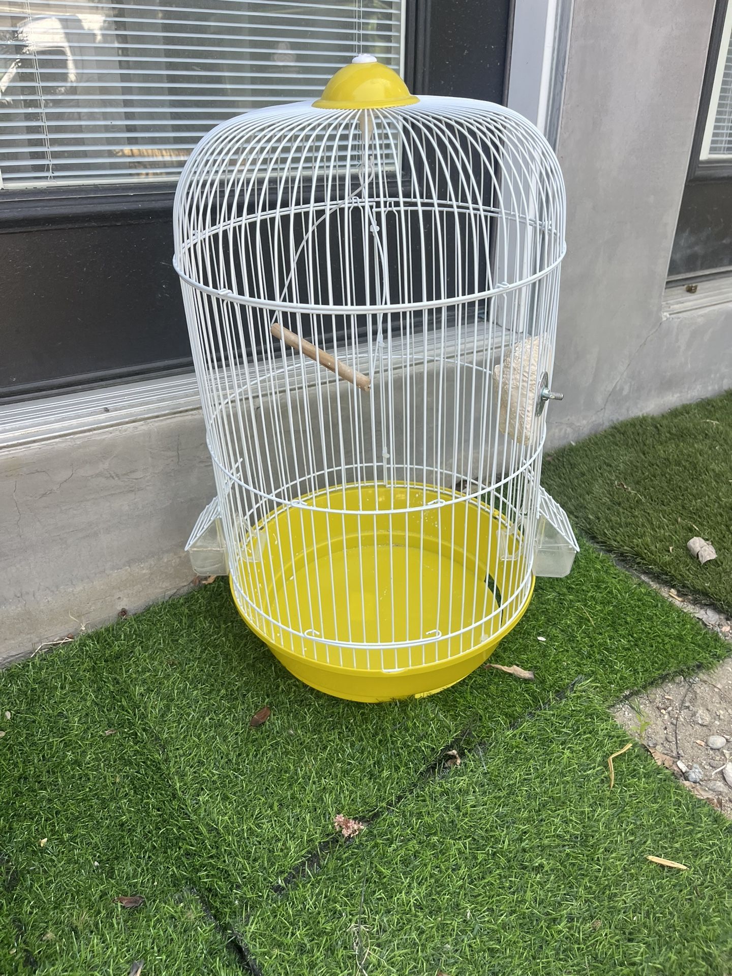 Bird Cage