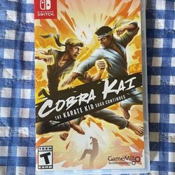 Cobra Kai Nintendo Switch 