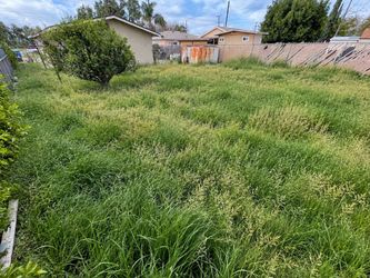 Grass Mowing, yard clean up