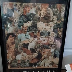 Cat Puzzle In Plastic Frame