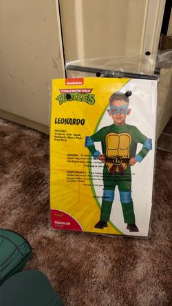 Ninja turtle costume
