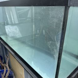Fish Tank For Sale 