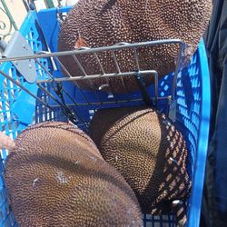 Jackfruit 